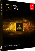 Adobe Bridge CC Crack v14.1.1.274 (2024) Free Download With Keygen[Updated]